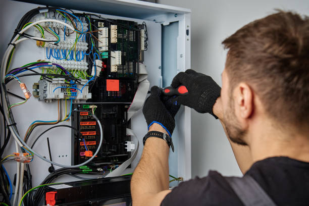 Licensed Electrical Panel Upgrade service in Caledonia, MN - No Joke electrician